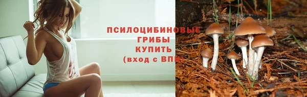 спайс Нефтегорск