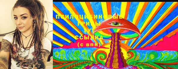 не бодяженный Новодвинск