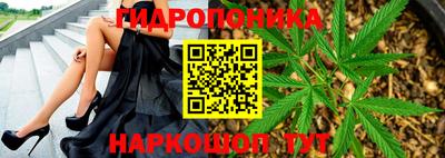 трава Донецк