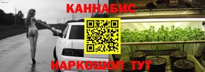 гашик Дубна