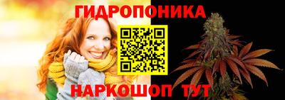 трава Донецк