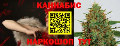 гашик Дубна