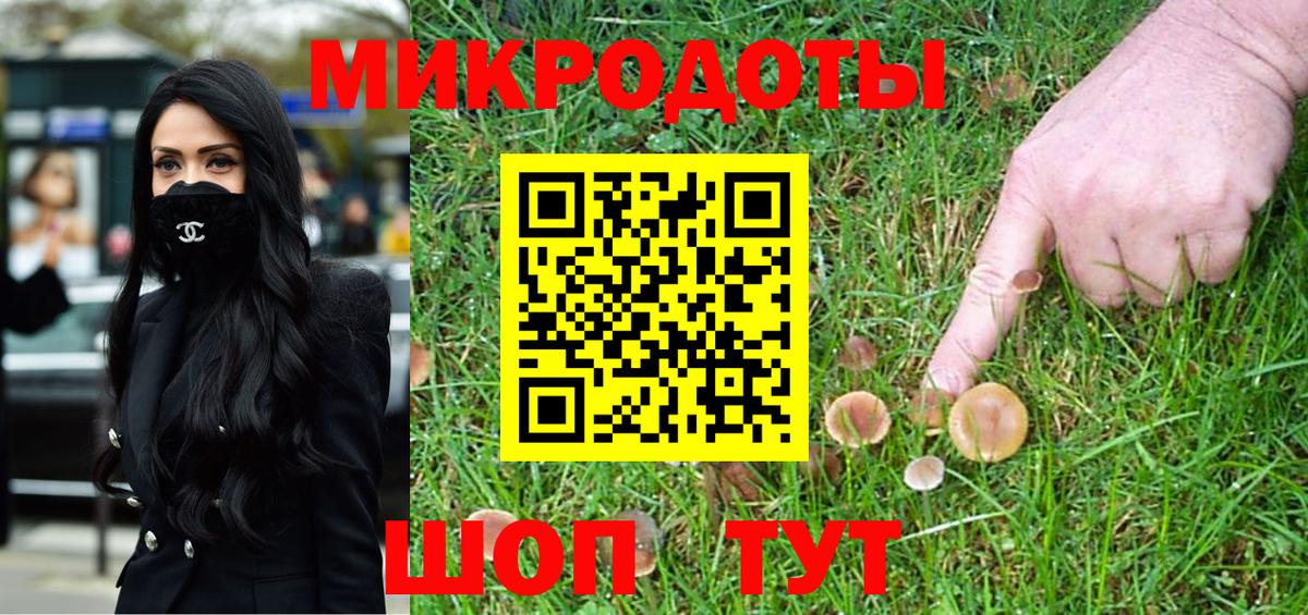 Партизанск  Галлюциногенные грибы Cubensis  Вход с VPN 