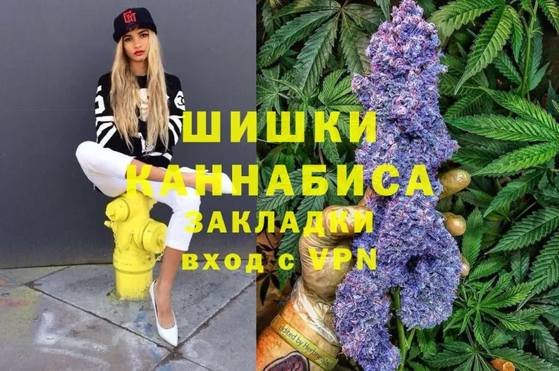 Бошки марихуана THC 21%  купить наркотики сайты  mega как войти  Партизанск 